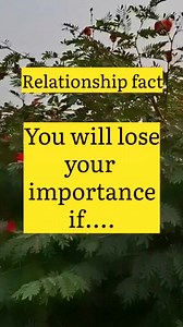 The lovers' guide on Reels