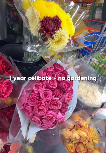 Celibacy Journey: Celebrating One Year of Abstinence