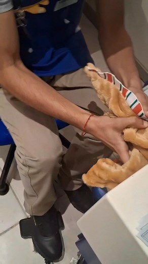 Joy caused a little mishap for the poor Build-A- Bear employee tonight. Thankfully he laughed too and handled my giggling and nervousness like a pro. And my Gingerbread Axolotl turned out perfect.藍藍癩癩 #buildabear #axolotl #oops | Erin Hunt | Facebook