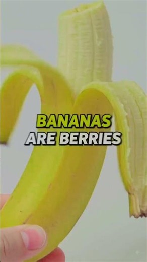 random facts / trending facts / facts