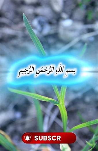 Surah Al-Lail Full Recitation | Beautiful Quran Recitation (سورة الليل)