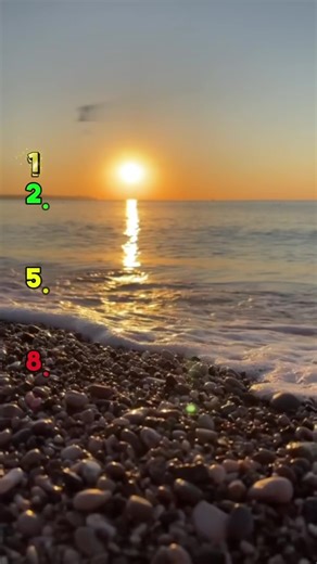 The Best Music Hits of 2009