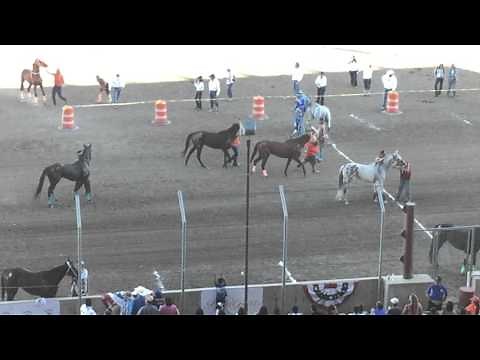 All Nations Indian Horse Relay Championship 2015 Billings Montana