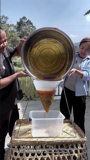 Honey Filtration in Action