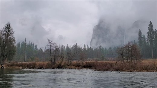  Experience our Ultimate Private Tours of Yosemite National Park and...