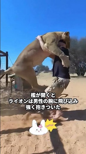 大切な人間の友と再会した野生動物たちの感動シーン