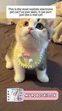 The best technical companion of 2025 – My real robot cat