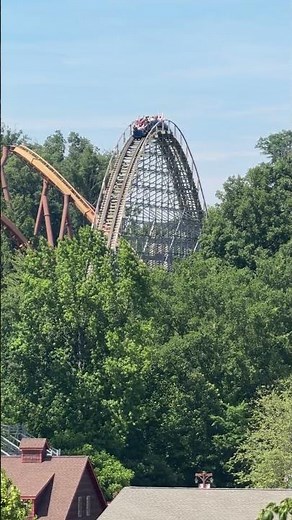 Rising Above the Trees | Voyage, Holiday World