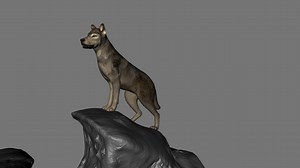 Wolf Animation Exercise