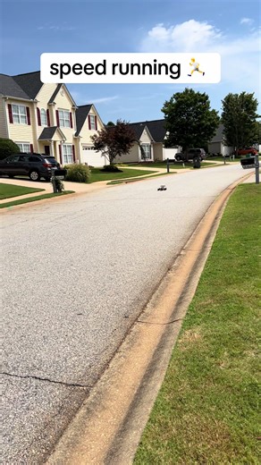 ZOOM #rc #fyp #funny #speed #fast | speed running