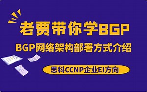 BGP网络架构部署方式详解