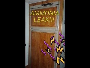 RV Refridgerator AMMONIA LEAK!!! - Full Time Off Grid RV Living