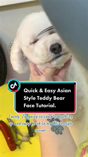 Asian Style Teddy Bear Face Tutorial