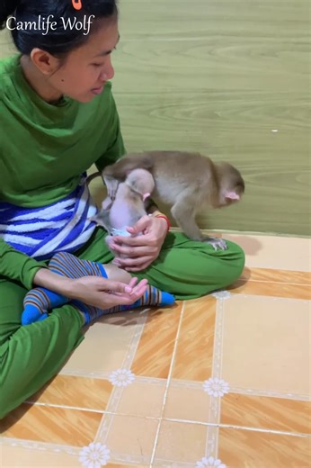 8.7K views · 221 reactions | So Adorable baby monkey feeling lovely that mummy take care and sharing food to eating delicious | Camlife wolf | Facebook