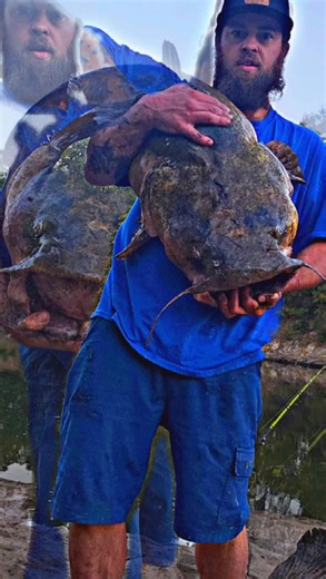 76 reactions · 10 comments | Consistent effort is the cornerstone of achieving significant outcomes. Through persistent application, the fruits of labor become evident.  | Flathead Doty | Facebook