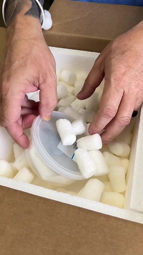 Unboxing New Lizards 🦎