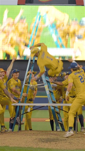 Bills Mafia, how'd we do❓ #bananaball #savannahbananas #billsmafia #buffalony #sctop10 #baseballboys #joshallen | Banana Ball