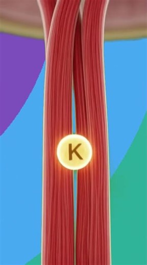 Banana's Magic: Watch Its Nutrients Power Your Entire Body in 3D! ✨