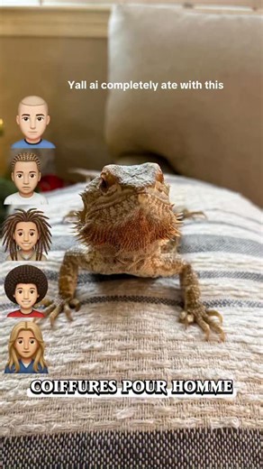 Heather & Bertie on Instagram: "This worked so well on a dog but not so well on a bearded dragon. Do they not realize she’s practically human?!"