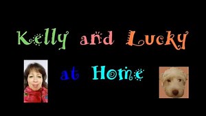 Distance Learning: Kelly and Lucky at Home | Video