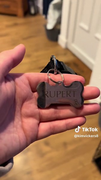 Today we picked up our 8 week old cockapoo 🥹 Welcome home Rupert 🥰 #cockapoo #cockapoosoftiktoks #cockapooowners #redcockapoos #redcockapoopuppy