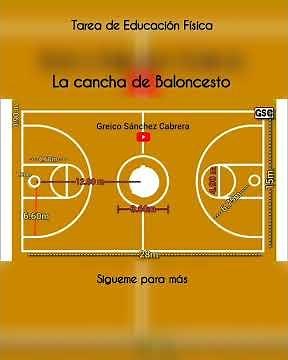 Cuanto mide una cancha de baloncesto 🏀 tarea de Educación Física