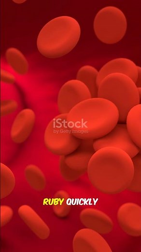 "The Brave Red Blood Cell "🩸 | Biology Story for Kids