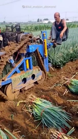 Skilled Workers Redefining Speed and Excellence