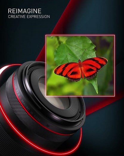 RF 100mm f/2.8L Lens | Master Macro Shots & Stunning Portraits | Timeless Photography Details