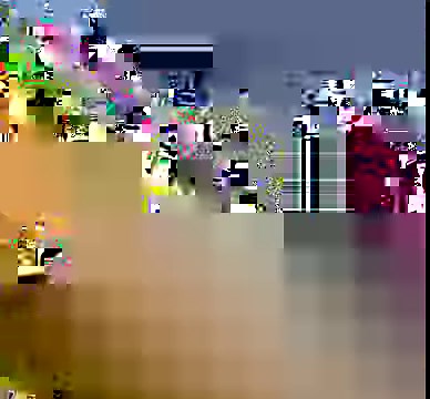 23K views · 845 reactions | ♦️ Parrots Colors And Mutations.  Disclaimer : We have no commercial purpose while sharing this video/picture. Its purely for social awareness.   Video /  Picture All rights and credit reserved to respective photographer/owner. #saveparrots | Belal Moheb | Facebook