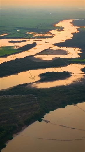 In Cambodia, the Tonlé Sap River reverses its flow during the monsoon season. As the Mekong River swells with rainwater from the Himalayas, pressure forces water upstream into Tonlé Sap Lake, causing the lake to expand dramatically, by several times its dry-season size. This reversal floods forests, replenishes fish stocks, and sustains one of Southeast Asia’s most productive freshwater ecosystems. When the rains end, the flow switches back, draining the lake into the Mekong. It’s one of the ver