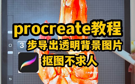 procreate快速导出透明背景图片｜抠图不求人！新手必看