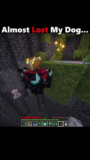 Almost Lost My Dog... #minecraft