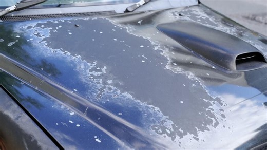 Used Cars Most Likely to Have Paint Problems―It Happened to Me