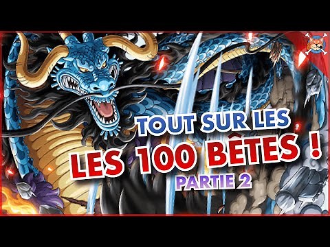 ON VOUS DIT TOUT SUR L'ÉQUIPAGE DE KAIDO - One Piece Explication - partie 2