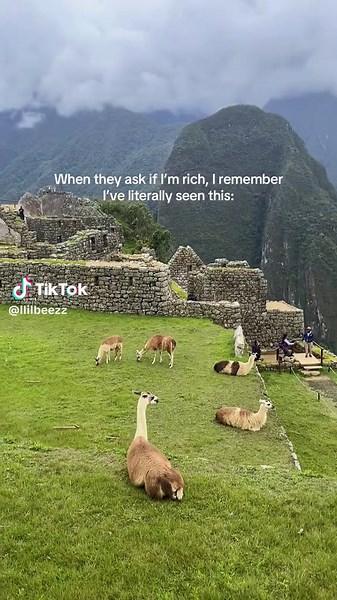 Explore Machu Picchu: A Journey to a Wonder