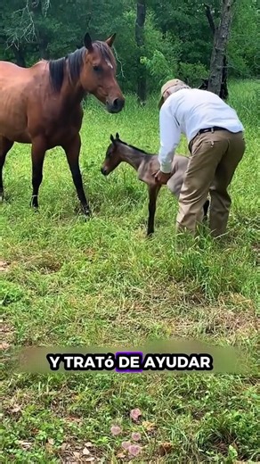 All animals bring endless joy 🌍💖 | Happy Animals