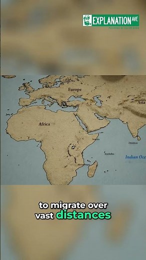 Dragonfly Migration: The Incredible 11,000-Mile Journey! #shorts