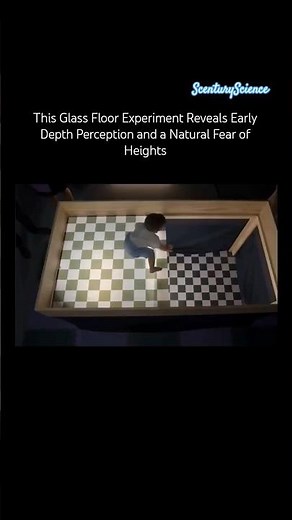 Experiment Reveals Early Depth Perception and a Natural Fear of Heights #science #instinct