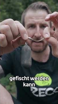 Schnelle Aktion am Teich #zeckfishing #wallerangeln #vomufer