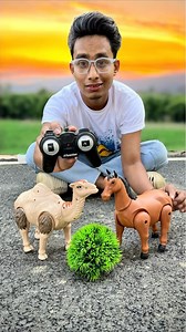 145K views · 1.1K reactions | Remote Control Camel & horse unboxing#toys #shorts #unboxing #camel #horse #animals #view | Anam Toys | Facebook
