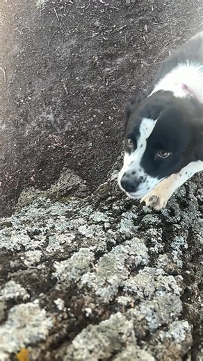 CHELLA: The Real Pain in My Heart