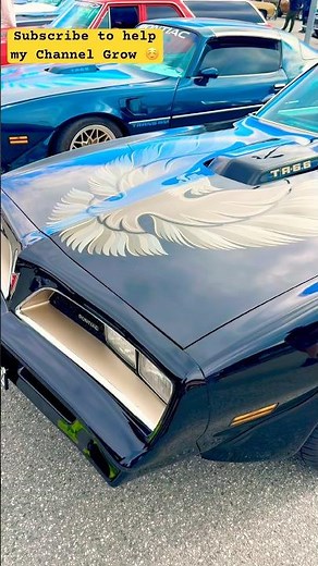 Iconic Trans Am Bandit | Car Show Classic!