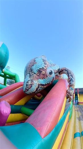Pov : Lizard-themed Inflatable Obstacle Course Crossing Challenge