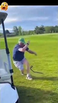 #funny #foryou #prank #whowillbemylifepartnerta #funnydog #comedy