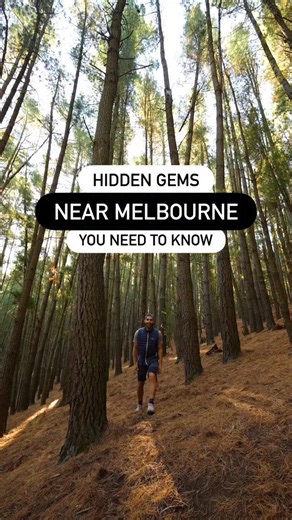 Hike an extinct volcano in Victoria! 🌋 - Hidden one hour from Melbourne near the scenic town of Daylesford, Mt Franklin is one of the most underrated nature spots I’ve come across. Millions of years ago, this was a volcano which shaped this part of Victoria and today you can hike its crater rim! The scenic 3km Lalgambuk Circuit takes you through peaceful bushland and towering pine trees with sweeping views over the forest canopy. The walk is short, quiet and dog friendly making it the perfect n