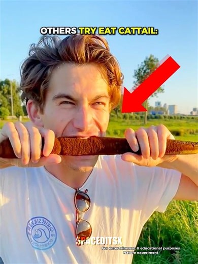 OTHERS TRY CATTAIL PLANT VS THE LAST ONE ☠️