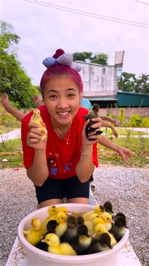 Người mẹi tốt bụung So cute - thử thách nhắm mắt giải cứu vịt con sẽ ra sao? 🦆🦆🐤🐤 #funny #shorts