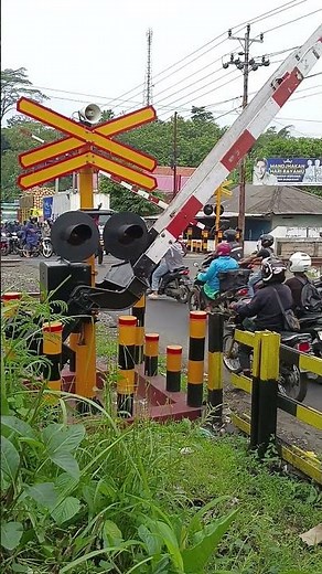 Speed Rush! / Kereta Melaju Kencang!