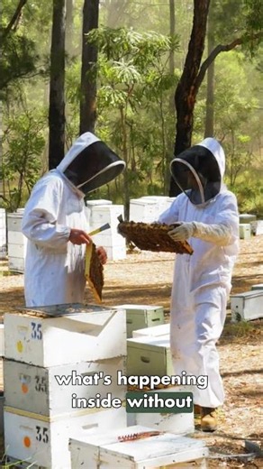 Hive Tech Scale: We Believe that even the smallest action can make a difference